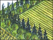 Windbreaks/Shelterbelts/Timberbelts/Buffers