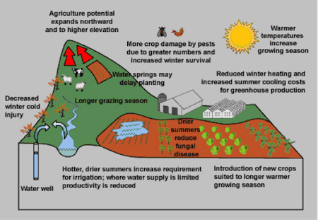 Climate Change Infographic