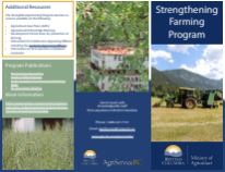 Strengthening Farming brochure
