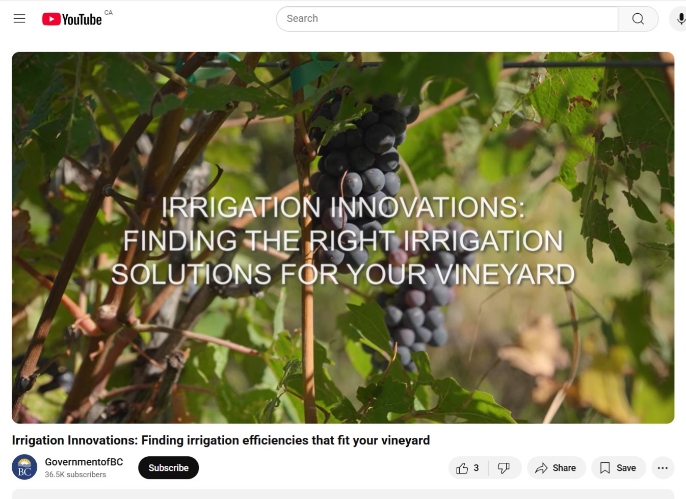 video on three ways to improve vineyard irrigation efficiencies