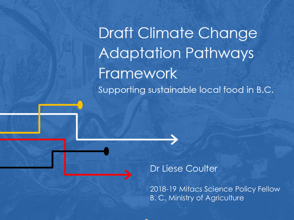 Adaptation Pathways: How to Plan When the Climate ... Keeps On Changing?