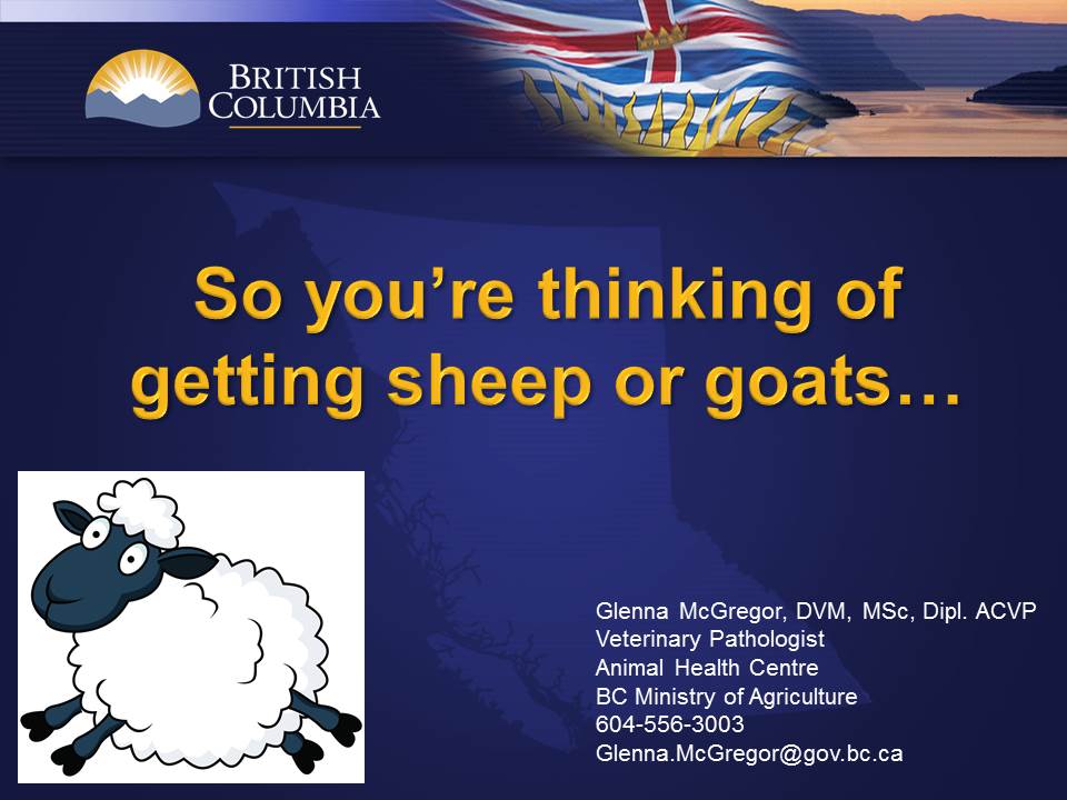 So you're thinking of getting sheep or goats presentation title slide