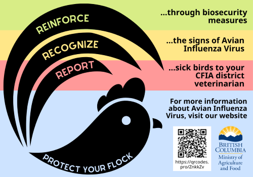 Protect your flock - Avian influenza