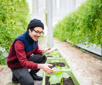 Man in greenhouse