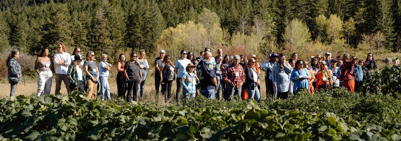 2024 Interior Indigenous Food Forum attendees gather at Esketemc/Secwepemc community garden, south of Williams Lake, September 2024