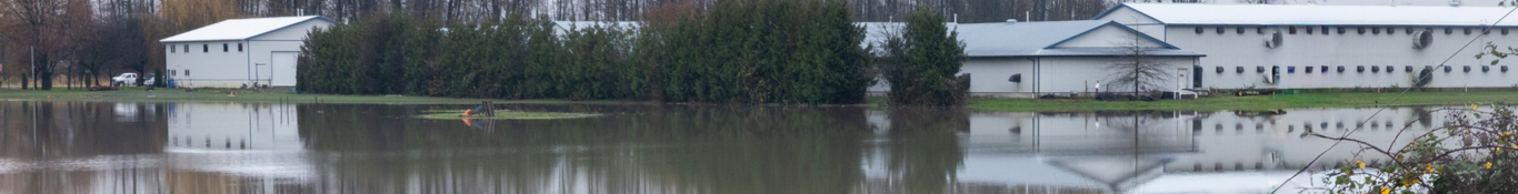B.C. 2026 Food Security Flood Recovery Program