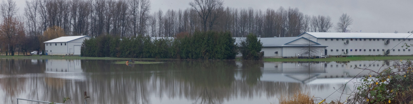 2026 Flood Recovery Program banner image flooded farm