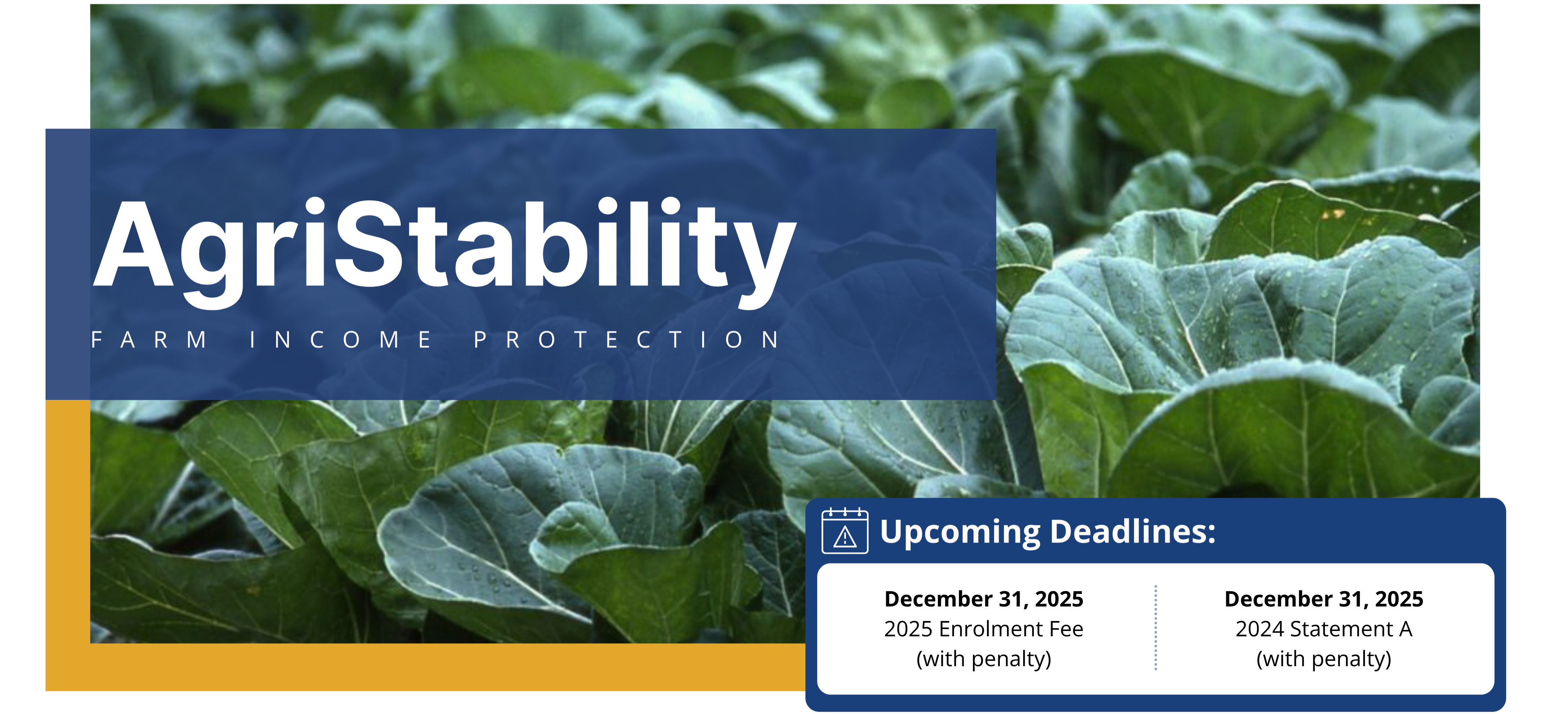 AgriStability: Farm Income Protection