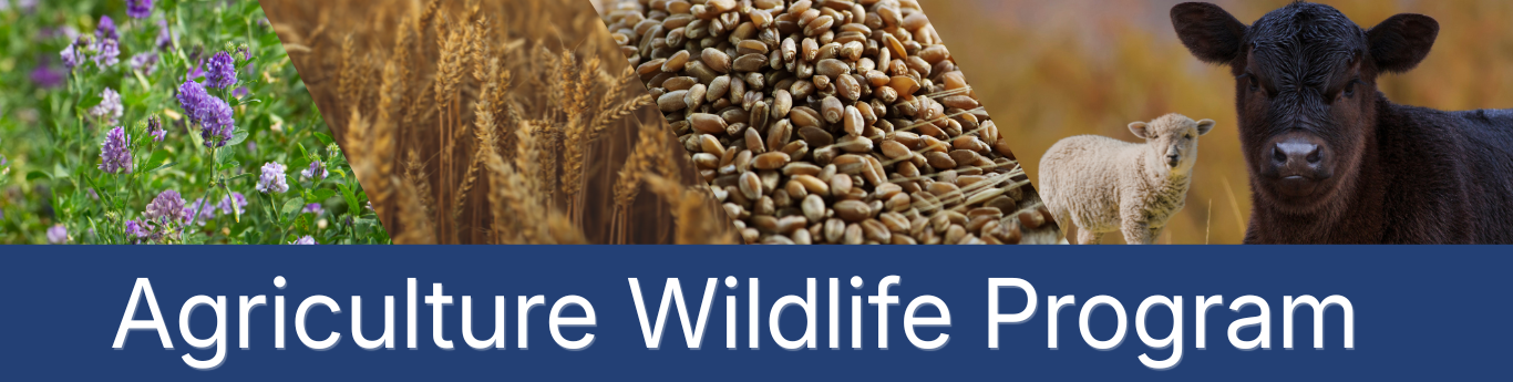 Composite banner featuring diagonal panels of agricultural scenes, including purple flowering forage plants, golden wheat heads, and a pile of grains, transitioning to farm animals—a sheep and a young calf—on the right, with a blue bar across the bottom displaying large white text reading “Agriculture Wildlife Program.