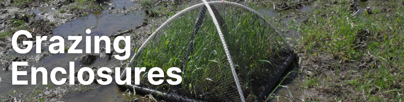 Grazing enclosure image for Agriculture Wildlife Program