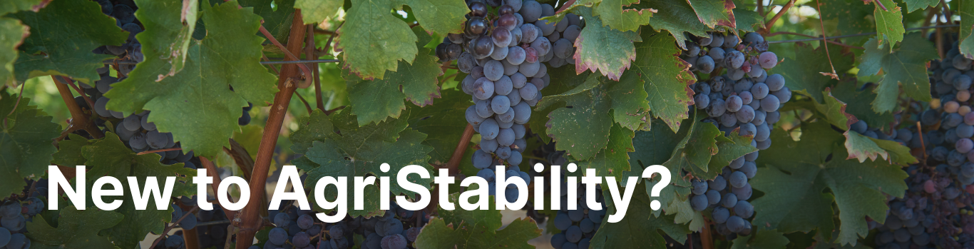 New to AgriStability?