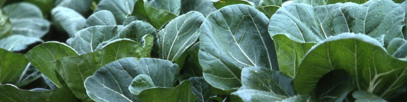  AgriStability picture of a farm operation