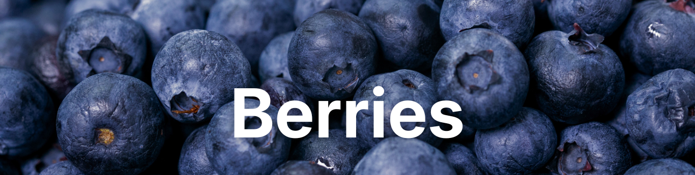 Close-up view of fresh blueberries filling the frame, showing their deep blue-purple color and textured surfaces, with large white text reading “Berries” overlaid across the center. Close-up view of fresh blueberries filling the frame, showing their deep blue-purple color and textured surfaces, with large white text reading “Berries” overlaid across the center.