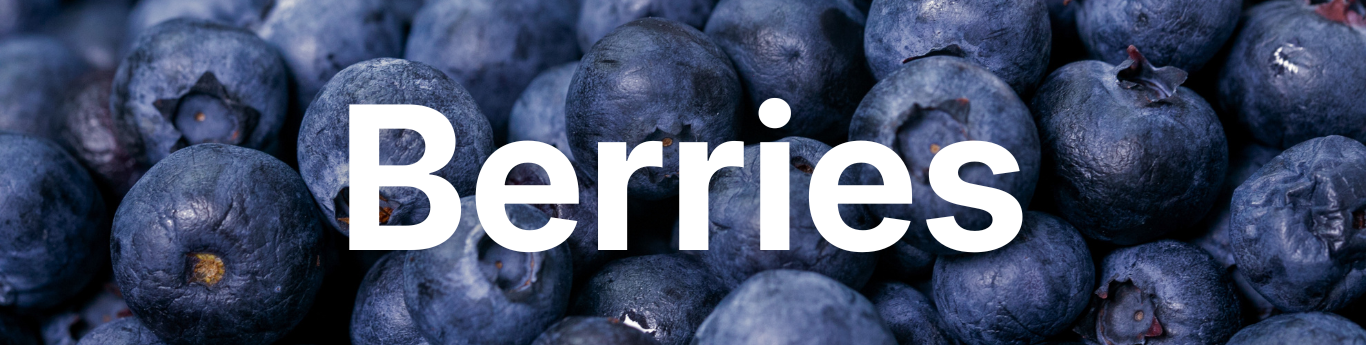 Close-up view of fresh blueberries filling the frame, showing their deep blue-purple color and textured surfaces, with large white text reading “Berries” overlaid across the center.