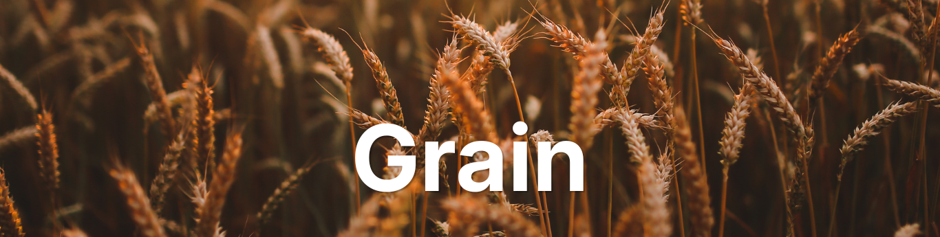 Close-up of golden-brown wheat stalks standing upright in a field, with detailed grain heads and warm sunlight highlighting their texture, with large white text reading “Grain” overlaid across the center. Close-up of golden-brown wheat stalks standing upright in a field, with detailed grain heads and warm sunlight highlighting their texture, with large white text reading “Grain” overlaid across the center.