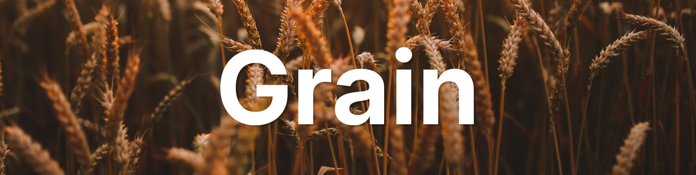 Close-up of golden-brown wheat stalks standing upright in a field, with detailed grain heads and warm sunlight highlighting their texture, with large white text reading “Grain” overlaid across the center.