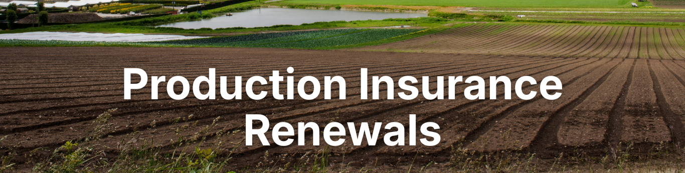 Wide view of a cultivated agricultural field with freshly tilled soil forming curved rows in the foreground, a pond and additional fields in the midground, and farm buildings and greenery in the background, with large white text reading “Production Insurance Renewals” overlaid across the center.