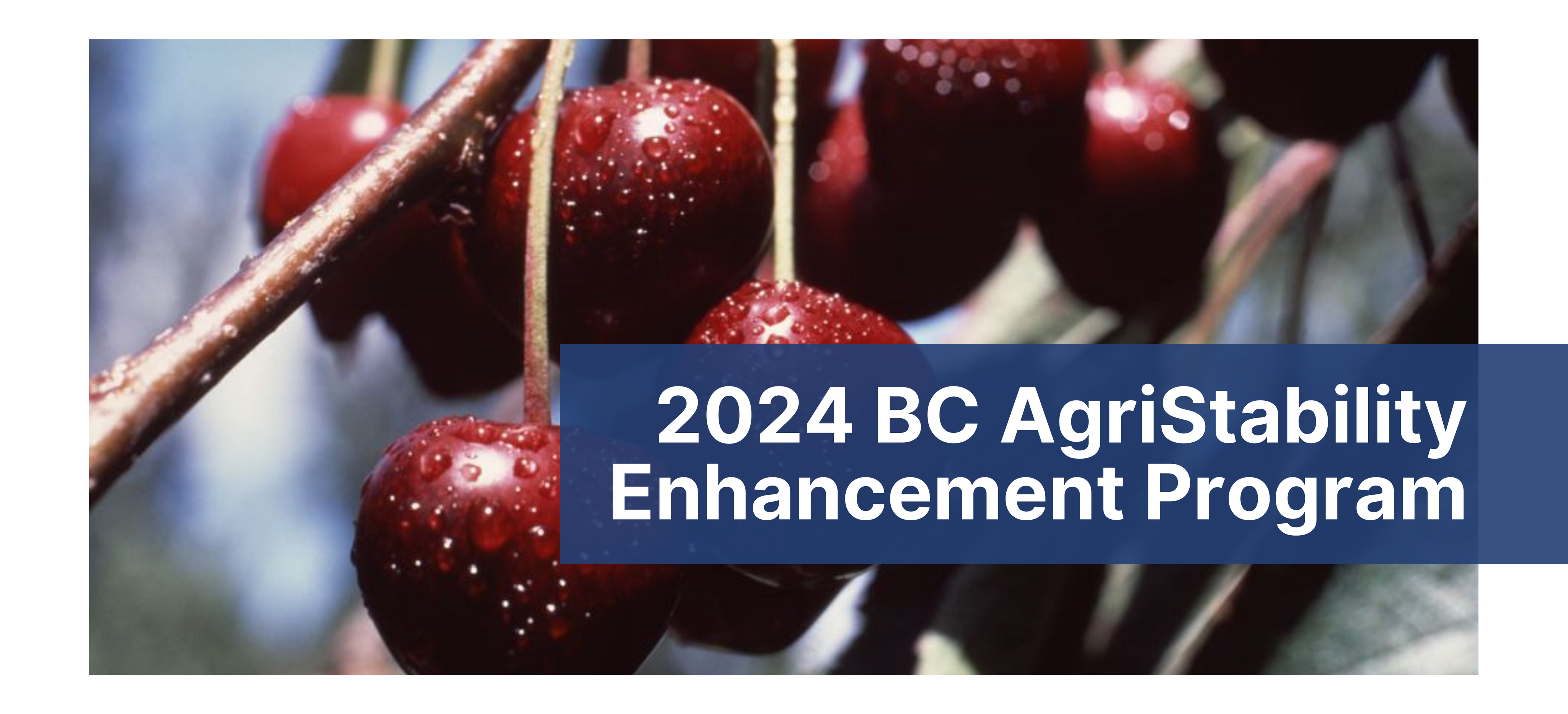 2024 BC AgriStability Enhancement Program