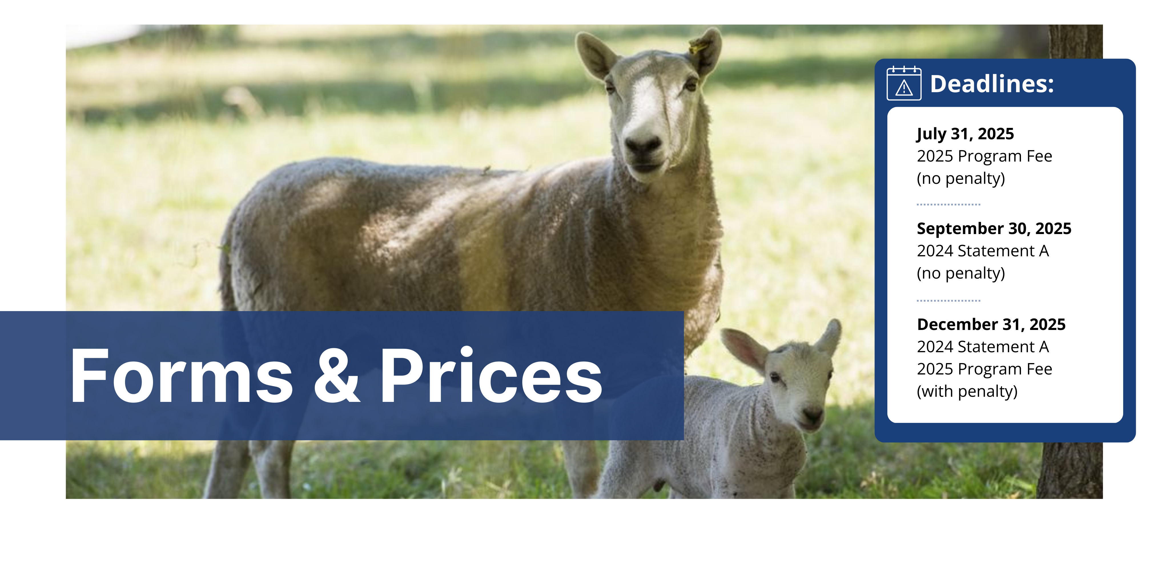 Forms and Prices