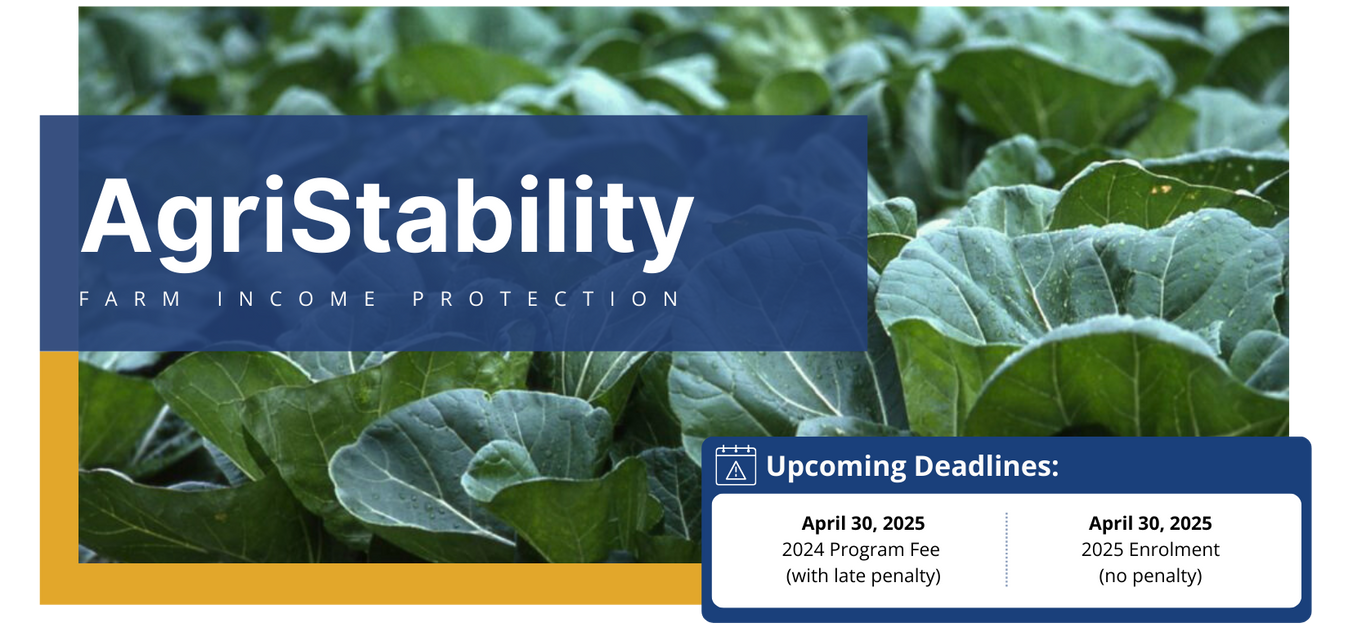 AgriStability: Farm Income Protection