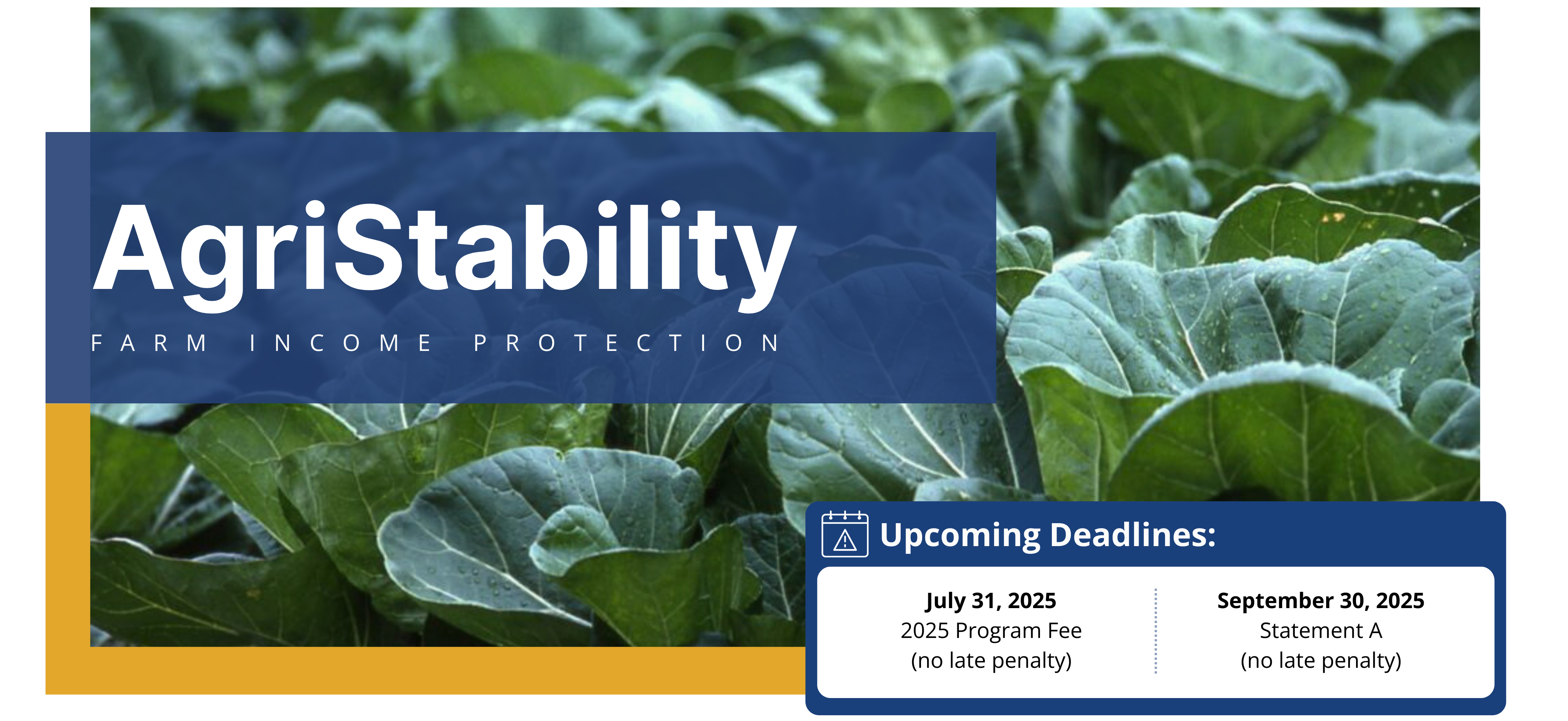 AgriStability: Farm Income Protection