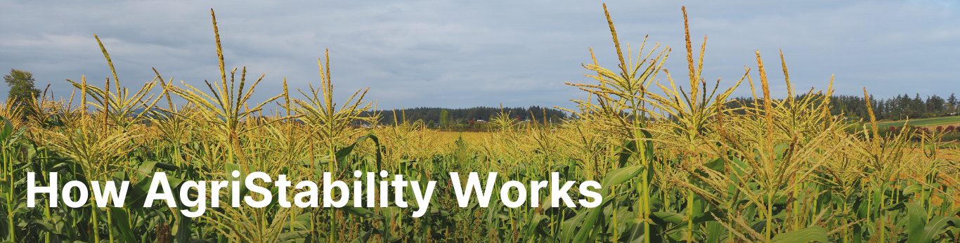 How AgriStability Works