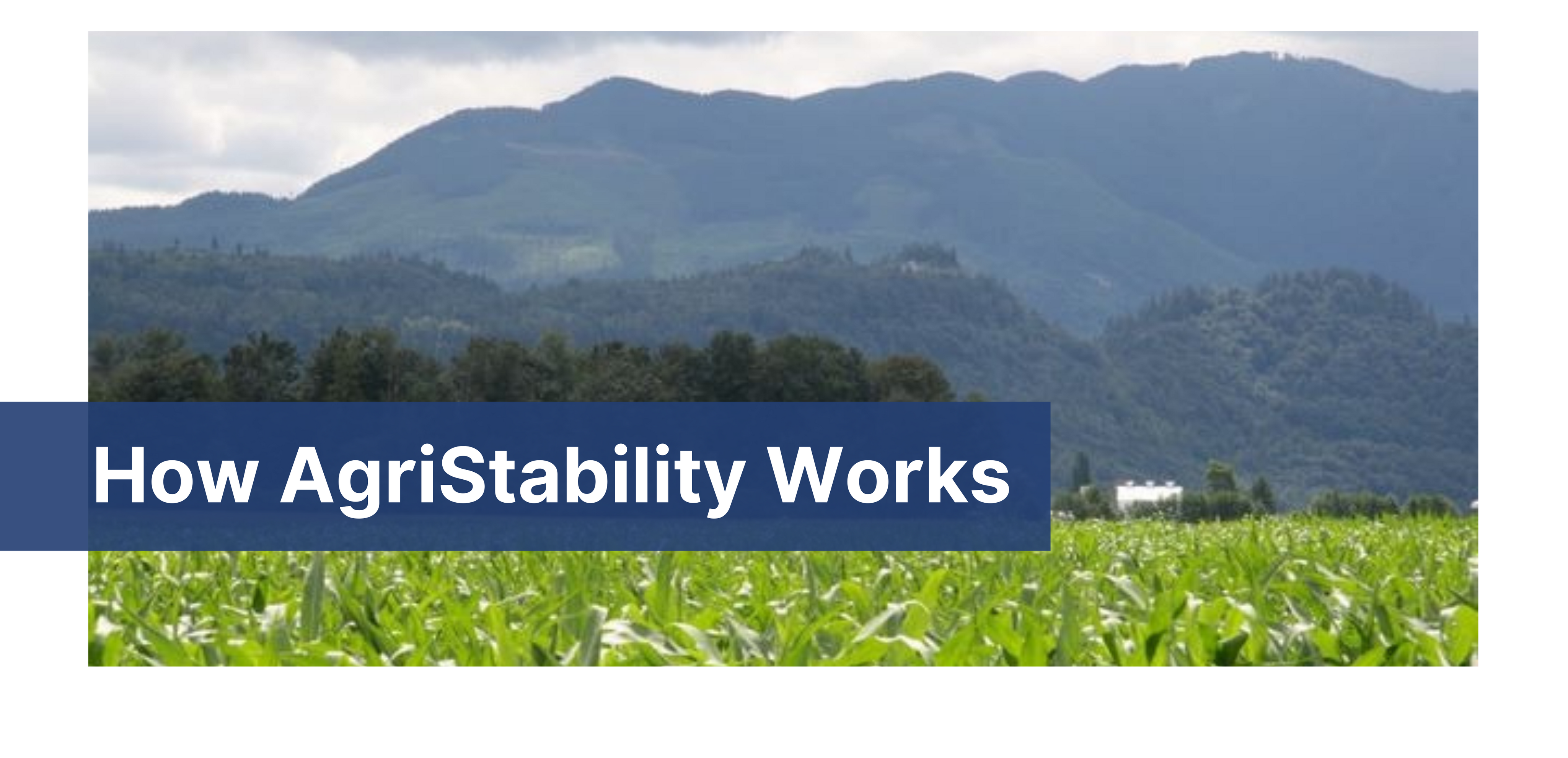 How AgriStability Works