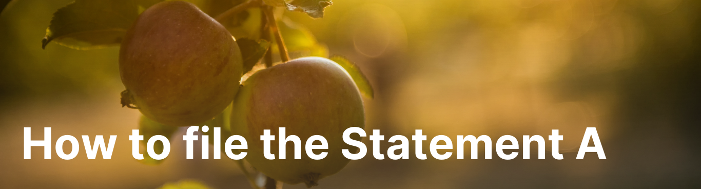 How to file the Statement A