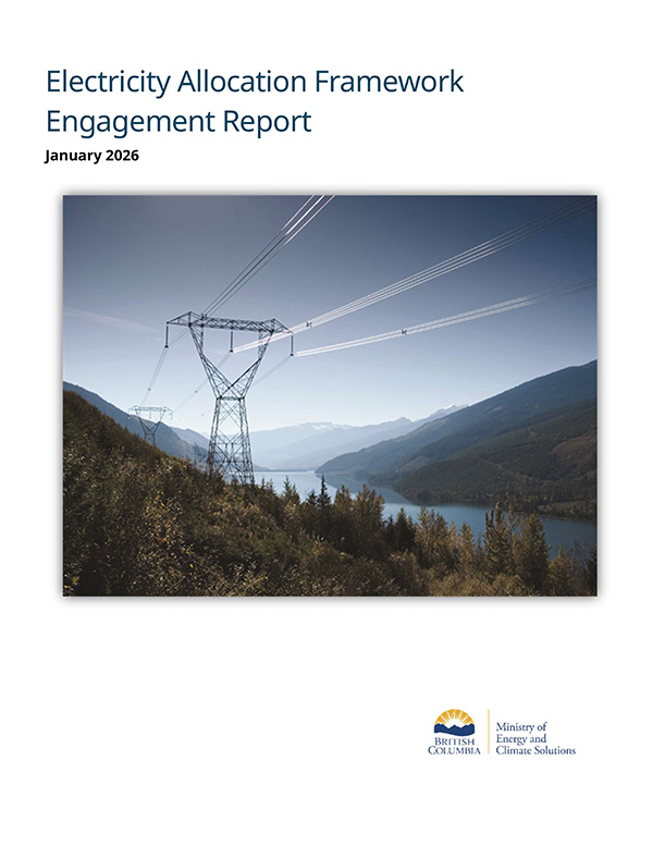 Electricity Allocation Framework Engagement Report Cover