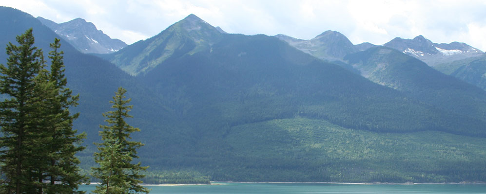 a harvest area as seen from across a lake