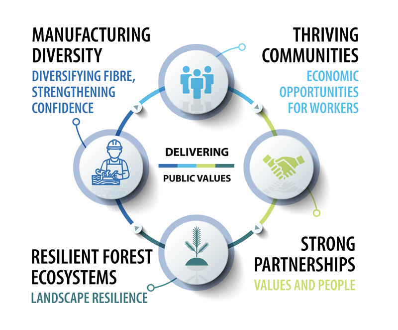 four key cornerstones of the recommendations