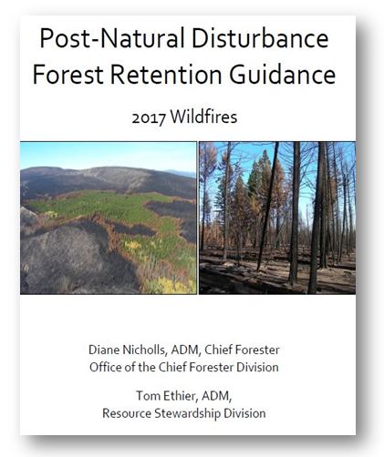 Post-natural disturbance forest retention guidance - 2017 wildfires