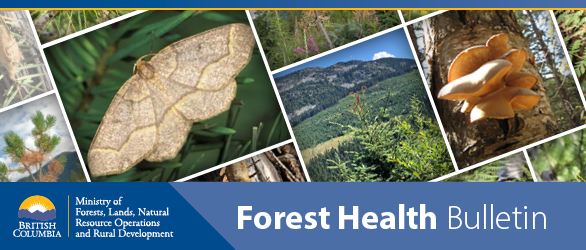 Forest_Health_Bulletin_Header