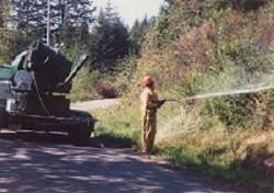 Ground spraying (a person with a sprayer)