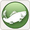 FRPA Fish/Riparian Fish/Watershed Value, click to expand