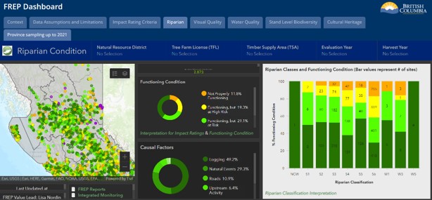 FREP Dashboard