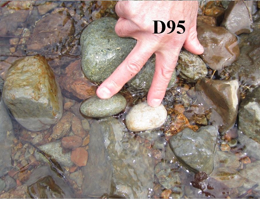 A D95 represents a piece that is larger than 95% of the remaining movable sediment particles in the channel