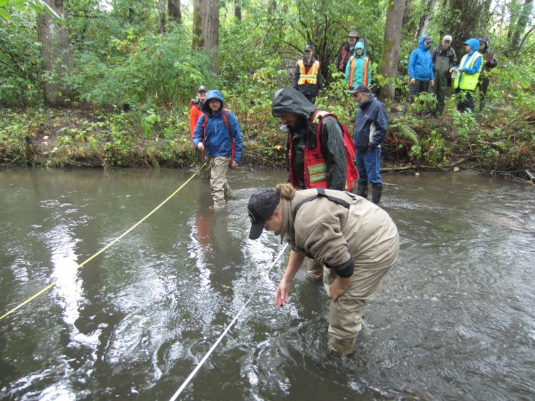 group doing riparian training in field