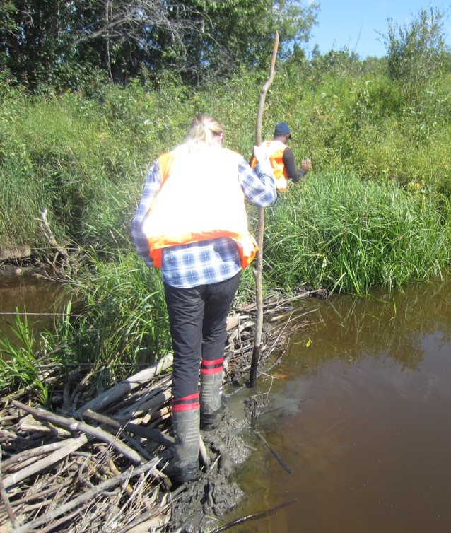 FREPPER conducting field work in stream