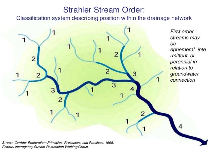 Strahler Stream Order:  Classification system describing position within the drainage network