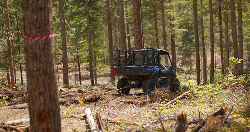 a utv driving around in the forest