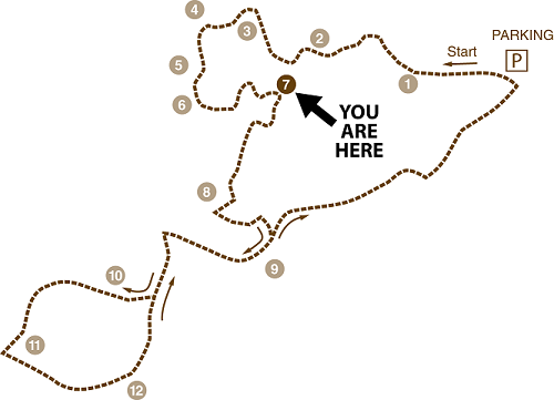 location map for stop 7