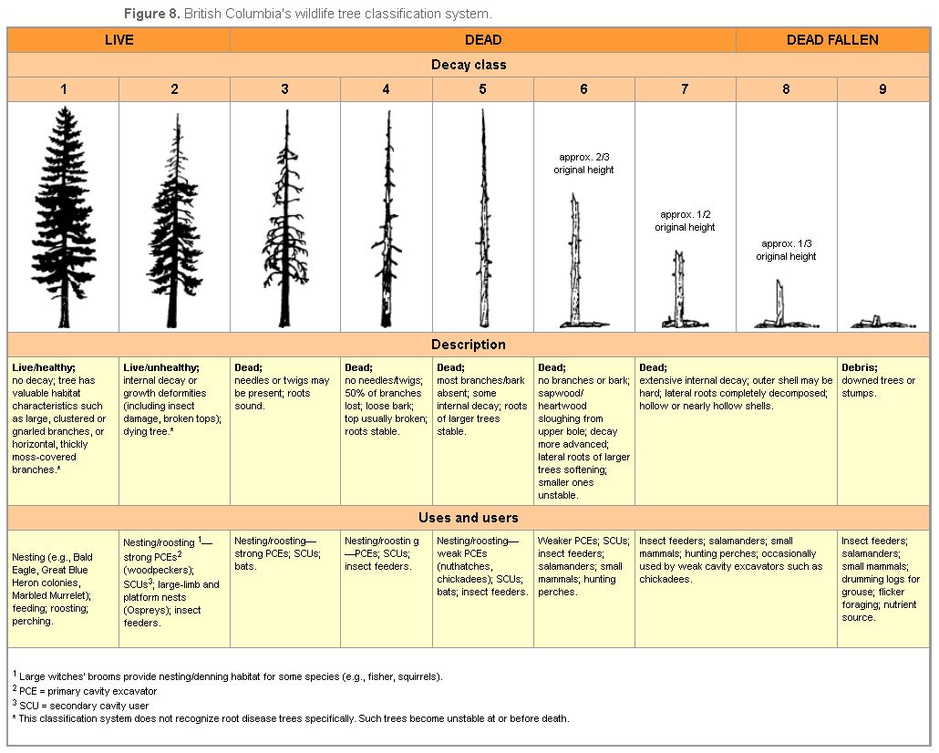 British Columbia's wildlife tree classification system.