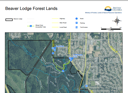 Map of the Beaver Lodge Forest Lands