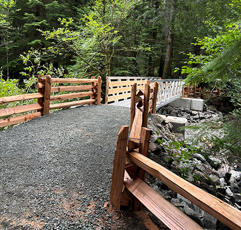 pedestrian trails in the beaver lodge forest lands