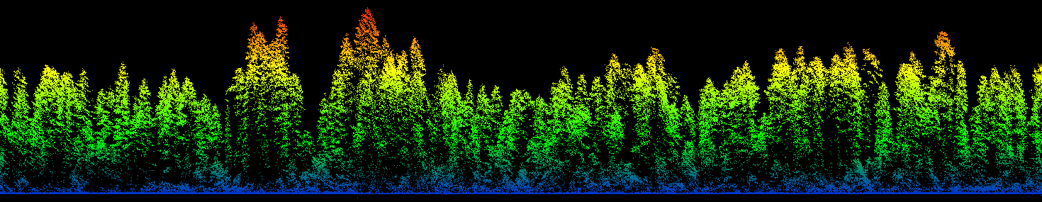 Image of a normalized lidar point cloud along a transect line Image of a normalized lidar point cloud along a transect line