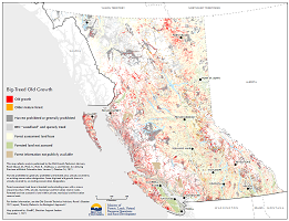 Click the image of the big-treed old growth map for a larger PDF version
