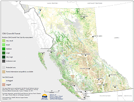 click the image of the Old Growth Forest map for a larger PDF version