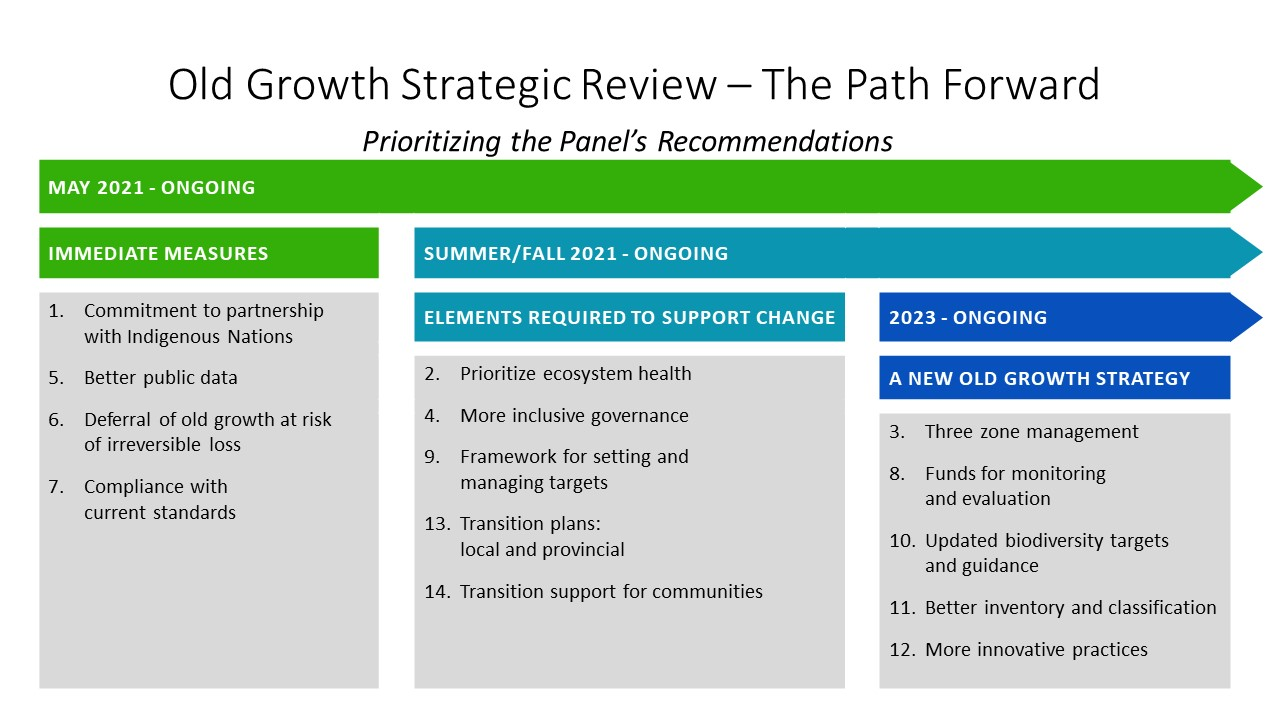 Visual representation of the path forward for the strategic review recommendations