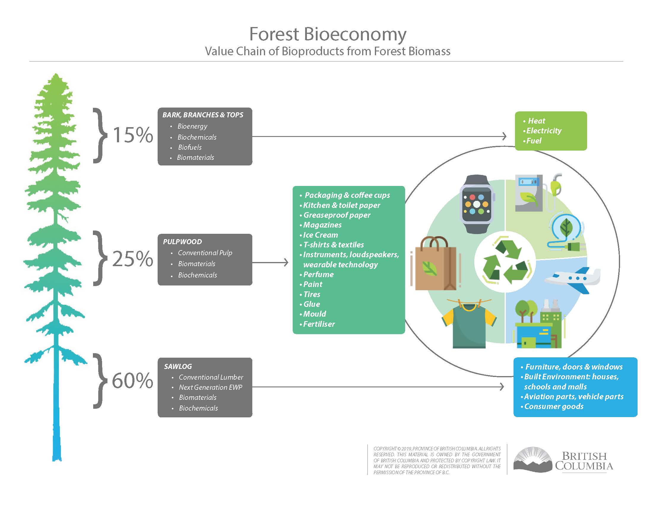 A diagram showing parts of the tree used to produce different bioproducts including electronics, clothing, vehicle parts, cosmetics and more.